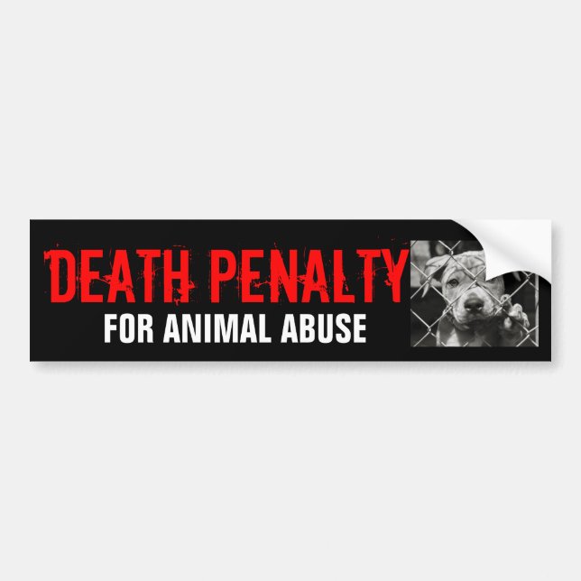 DEATH PENALTY FOR ANIMAL ABUSE bumper sticker (Front)