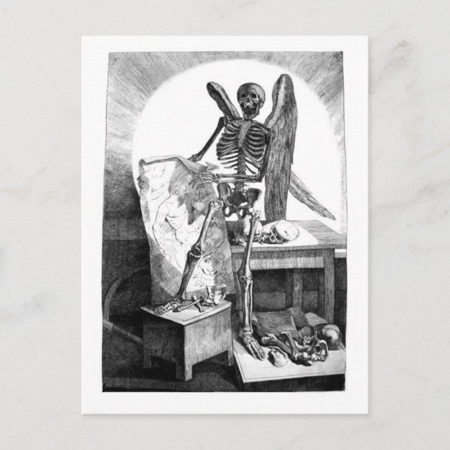 Death Studies Mans Anatomy postcard (Front)