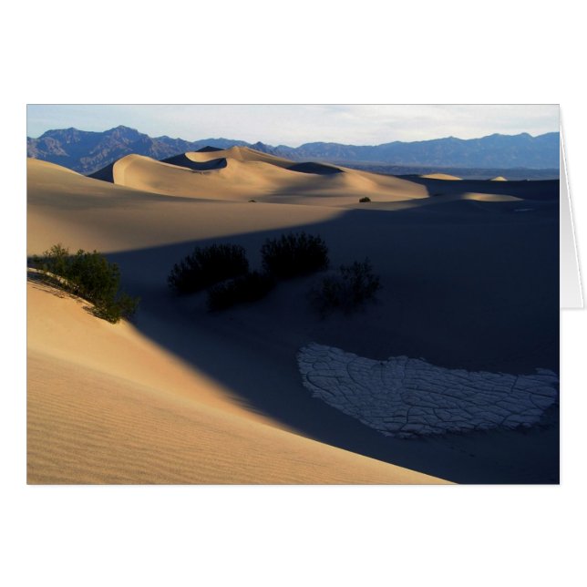 Death Valley Morning Dunes Blank Card (Front Horizontal)