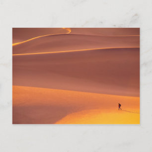 Death Valley National Park   California Postcard
