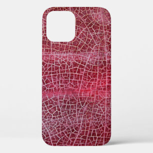 Death valley national park iPhone 12 case