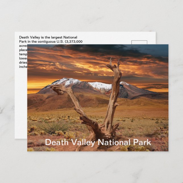 Death Valley National Park Facts Postcard (Front/Back)