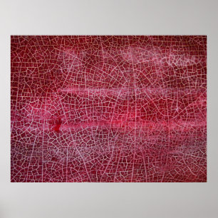 Death valley national park poster