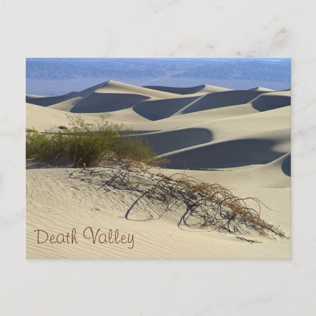 Death Valley Postcard (Front)