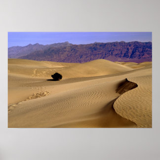Death Valley sand dune Poster