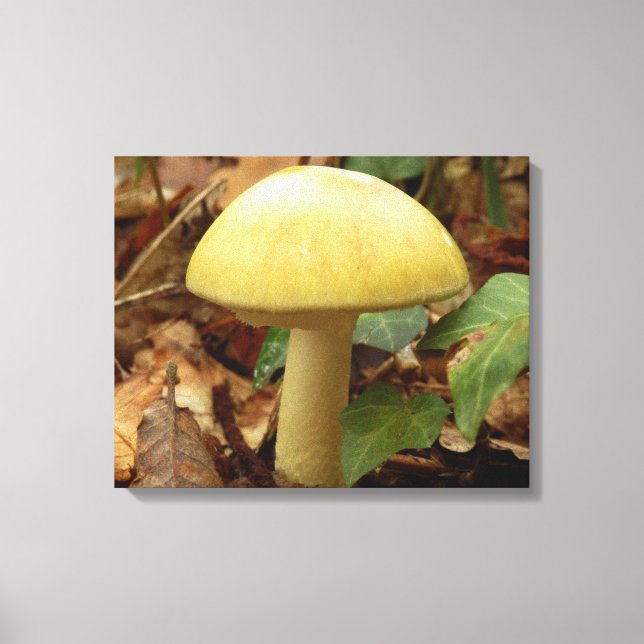 Deathcap Mushroom Canvas Print (Front)