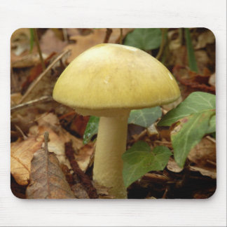 Deathcap Mushroom Mouse Mat