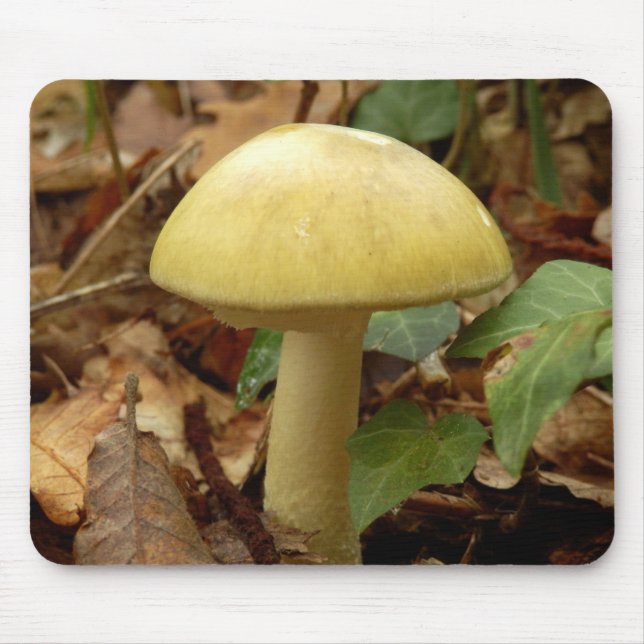 Deathcap Mushroom Mouse Mat (Front)