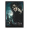 Deathly Hallows - Bellatrix Lestrange 2