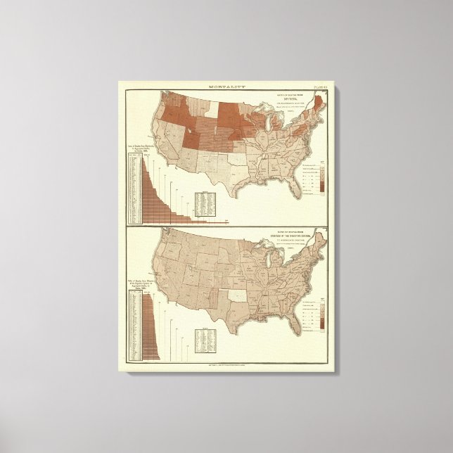 Deaths, diphtheria, digestive system canvas print (Front)