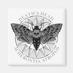 deaths head hawk moth magnet