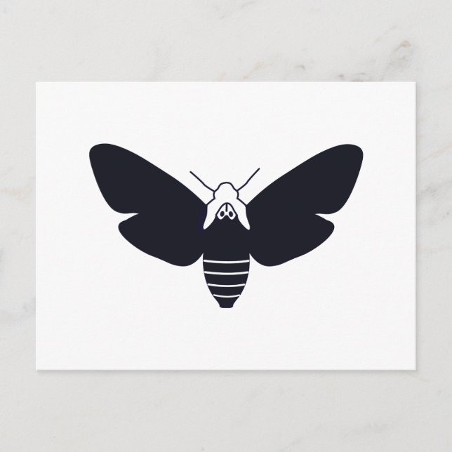 Death's Head Hawk Moth Postcard (Front)
