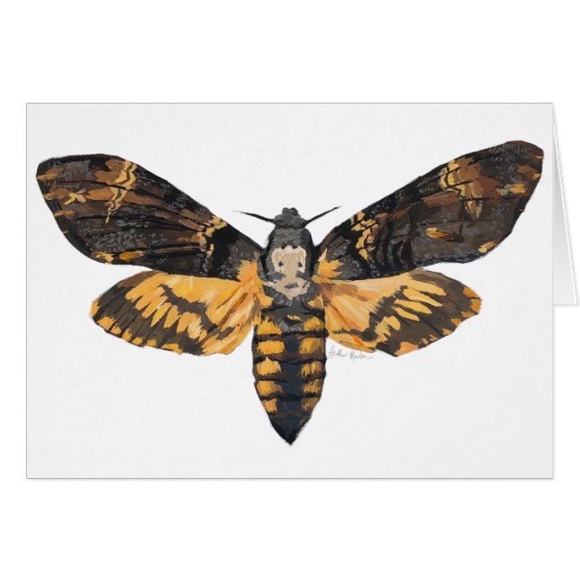 Death's Head Moth (Front Horizontal)