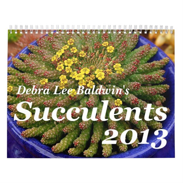 Debra Lee Baldwin's Succulents 2013 Calendar (Cover)