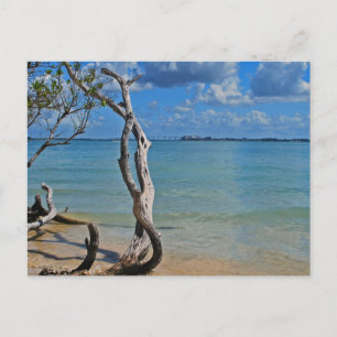 Debris to Blind Pass Postcard