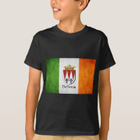 DeBryan Irish Flag