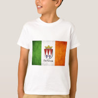 DeBryan Irish Flag