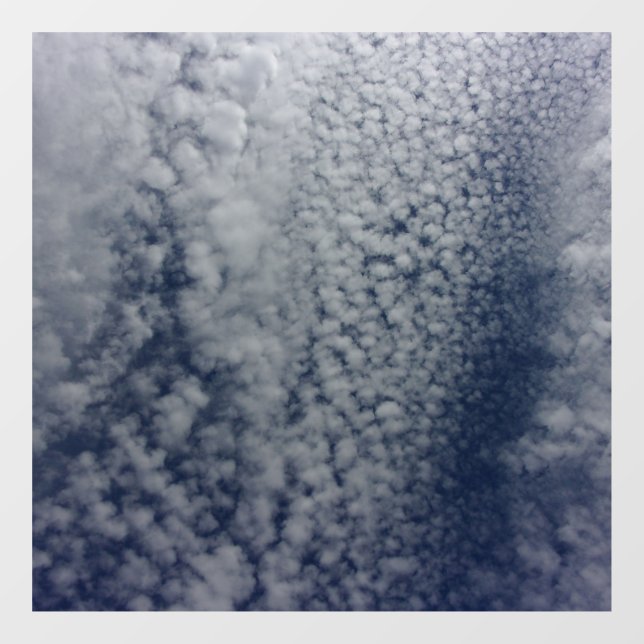 DECAL WINDOW CLING   (Sheet)