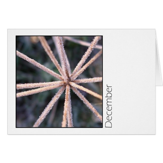 December (Front Horizontal)