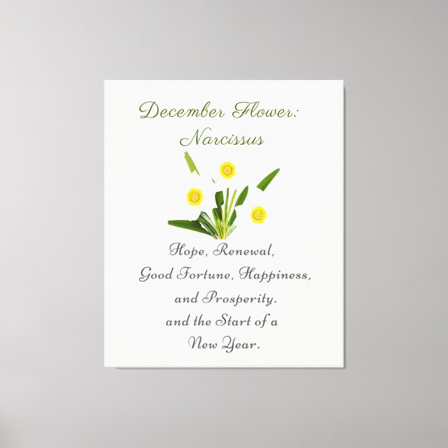 December Birth Month Flower Narcissus Elegant     Canvas Print (Front)