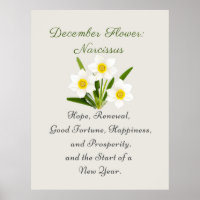 December Birth Month Flower Narcissus Elegant    