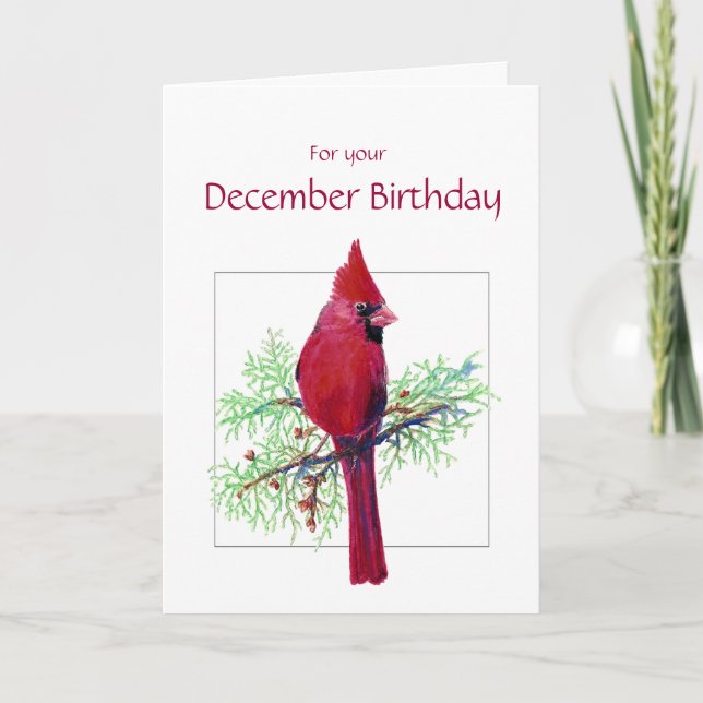 December Birthday Cardinal Bird, Nature Card (Front)