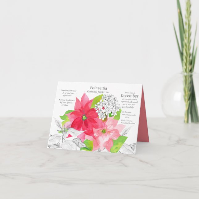 December Birthday Poinsettia Narcissus Birth Month Card (Front)