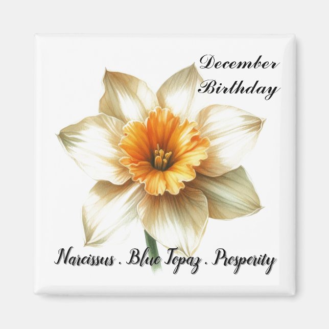 December Birthstone Flower Symbols and Meaning  Magnet (Front)
