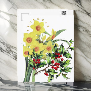 December Month Flowers  Narcissus & Holly Postcard