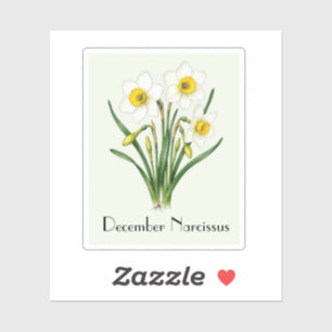 December Narcissus Flowers Sticker