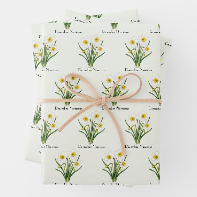 December Narcissus Flowers Wrapping Paper Sheet (In situ)