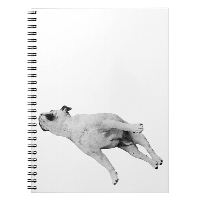 December Plans, Sleeping Dog Notebook (Front)