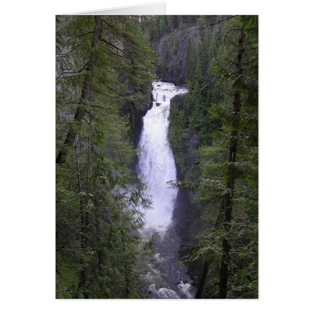 deceptionfalls (Front)