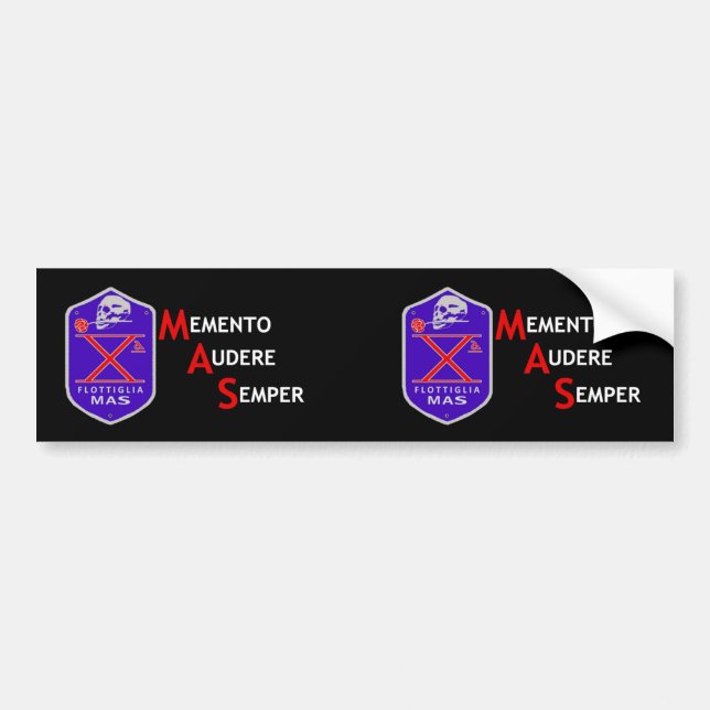 DECIMA FLOTTIGLIA MAS BUMPER STICKER (Front)