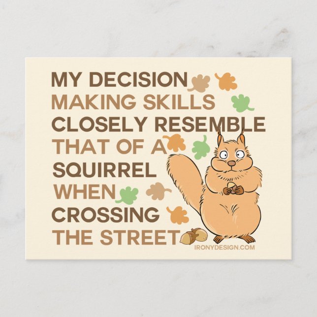 Decision Making Skills Squirrel Humour Postcard (Front)
