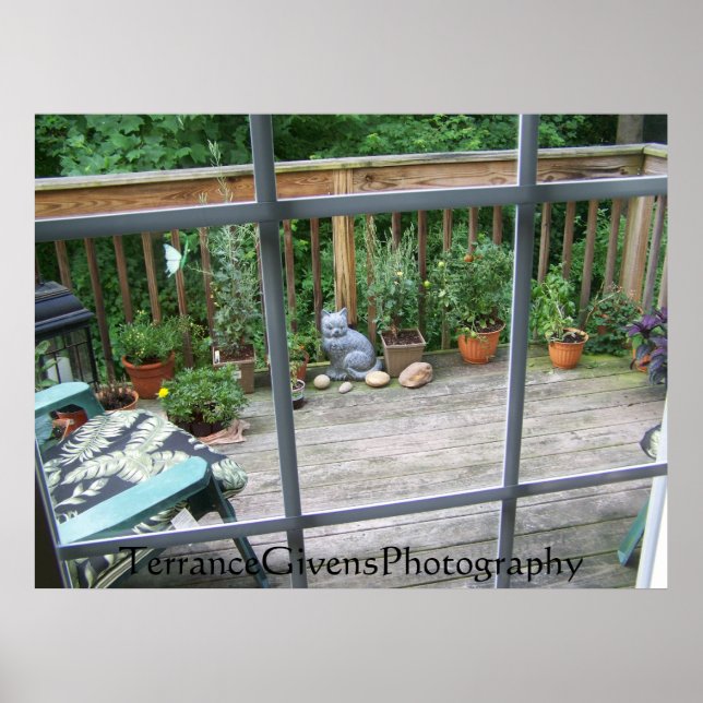 Deck Cat In Window Poster (Front)