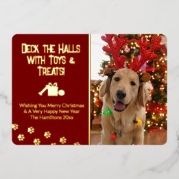 Deck the Halls with Toys & Treats Dog Photo