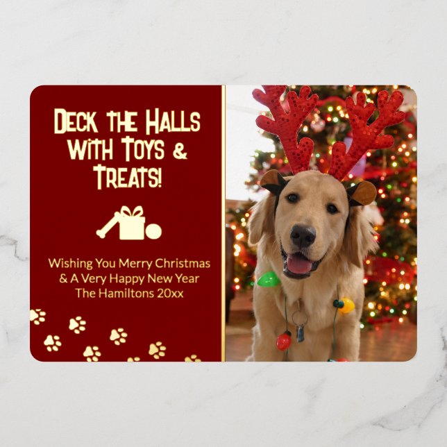 Deck the Halls with Toys & Treats Dog Photo (Front)