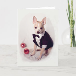 Decked Out Dog Holiday Card