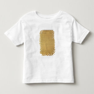 Declaration of Independence Toddler T-Shirt