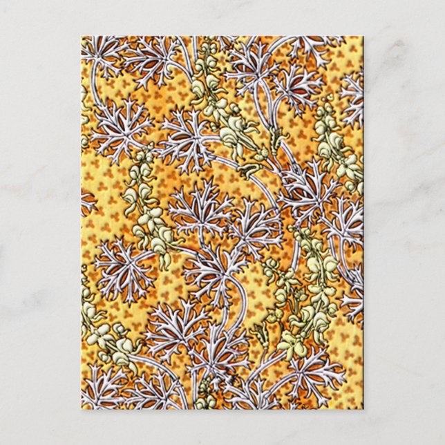 Deco Nouveau Flowers and Lace Postcard (Front)