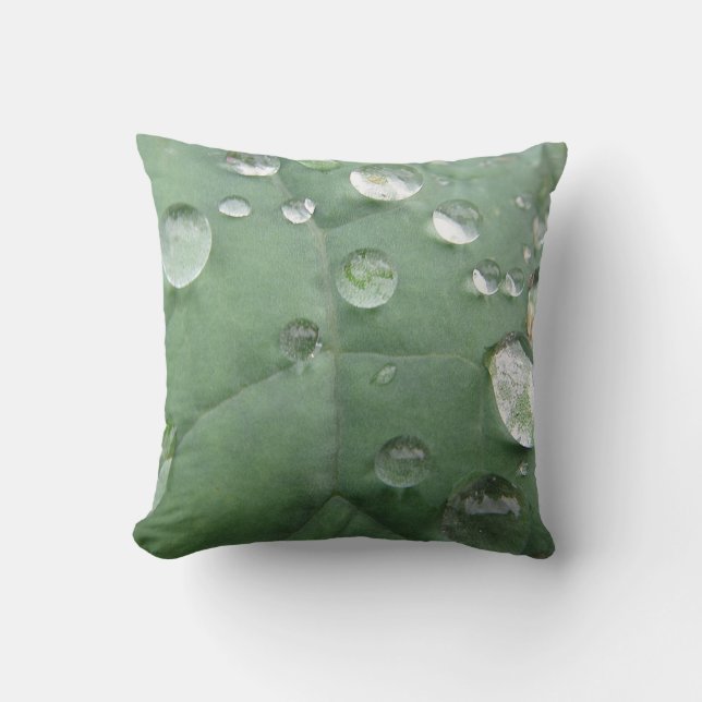 Decocased drop of water on green cushion (Front)