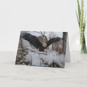 Decorah Eagles Christmas Cards