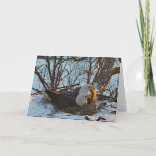 Decorah Nest North Christmas Card