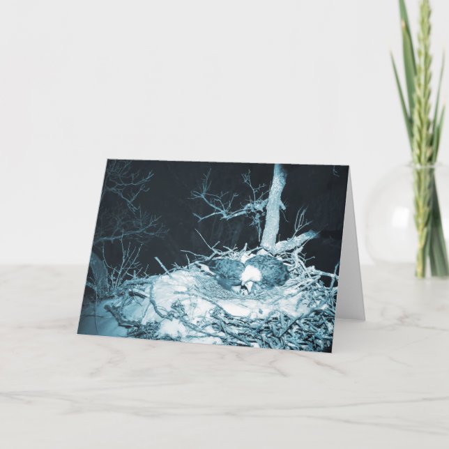 Decorah North Eagles: The Snow Moon Card (Front)