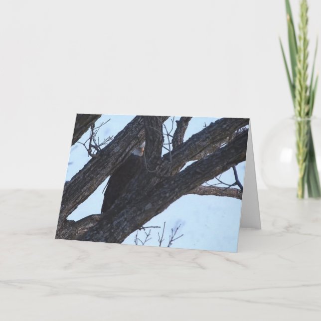 Decorah North Eagles: The Wolf Moon Card (Front)