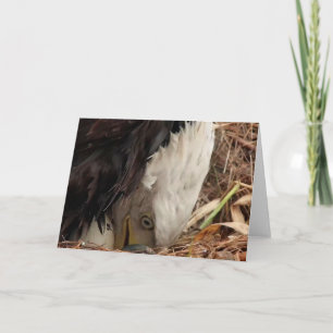 Decorah North Eagles: The Worm Moon Card