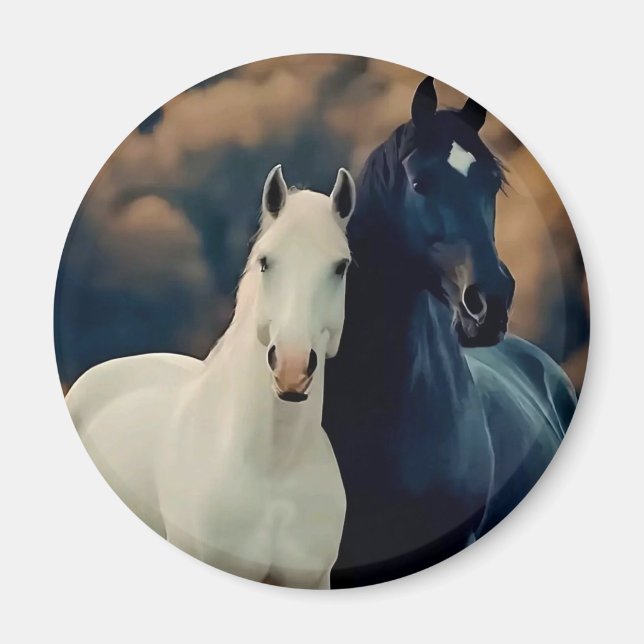 Decoration Magnet (Front)