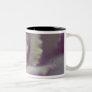Decorative cabbage Two-Tone coffee mug