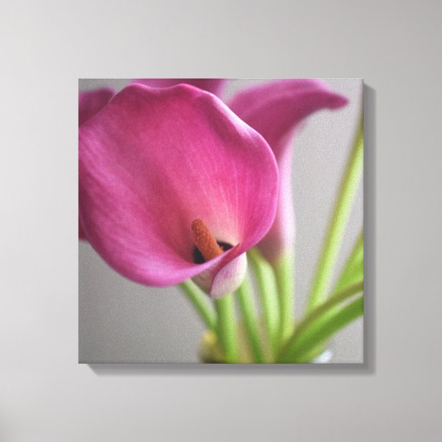 Decorative Canvas Print – Contemporary Wall Art (Front)